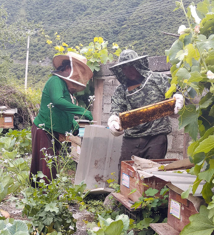 尕忠：用勤劳的双手酿造“甜蜜”生活