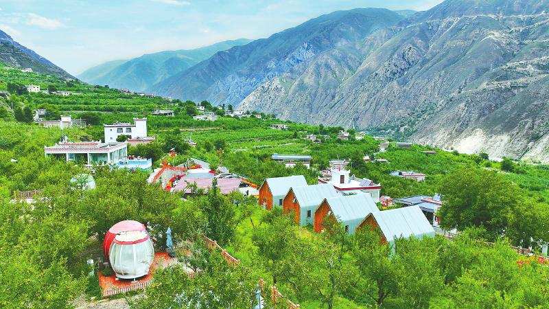 从脱贫攻坚到乡村振兴 “津金”同心一路同行