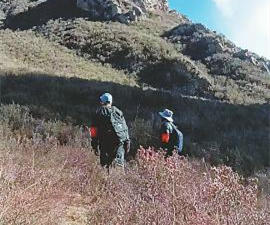 这支高原护林队，护林20多年，反盗猎、反滥伐、救助野生动物…… 他们的故事被拍成电影