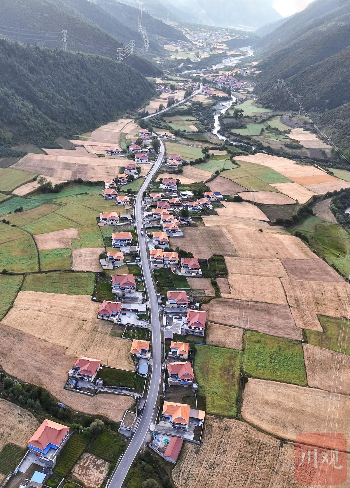 游“百里青稞画廊” 赏“康北粮仓”风光