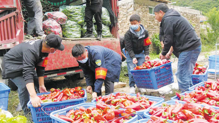 黑水县畅通农产品销路