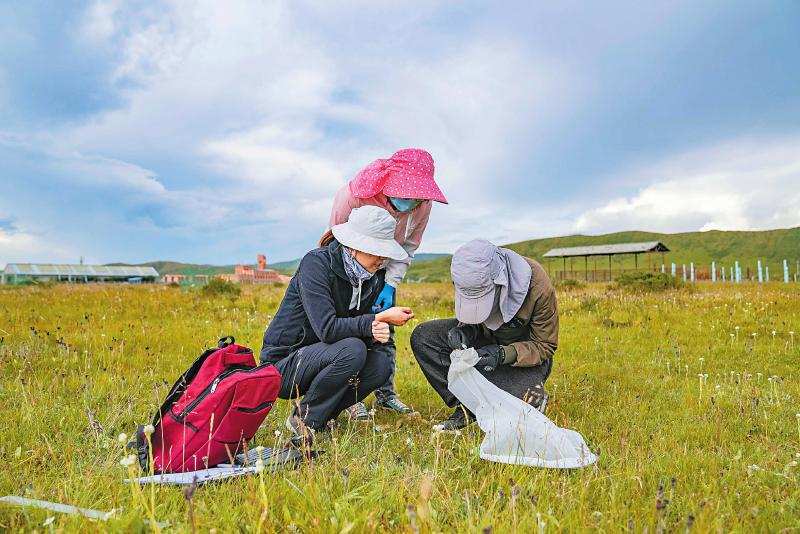 “高原医生”把脉高寒湿地