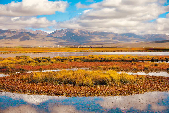 金秋醉美若尔盖花湖