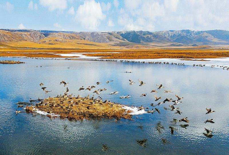 若尔盖湿地保护项目纳入全国规划 总投资近5亿元