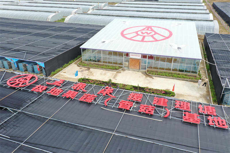 全国首个有机藏香菇盒马村落户四川理塘