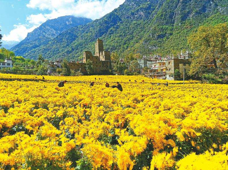 创新规划整体性、项目示范性、质效连续性工作模式—— 成都市成华区：强力助推甘孜州丹巴县全面乡村振兴