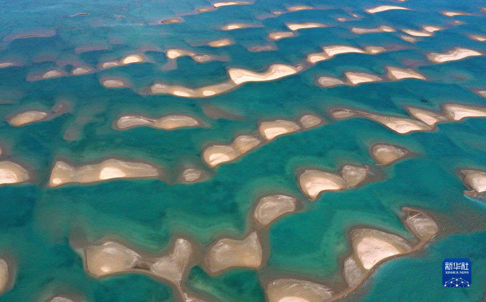 青海湖湿地