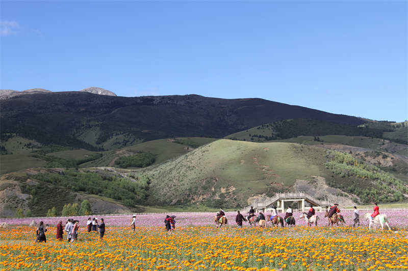 理塘县：创建两大旅游品牌 打响“天空之城”名片