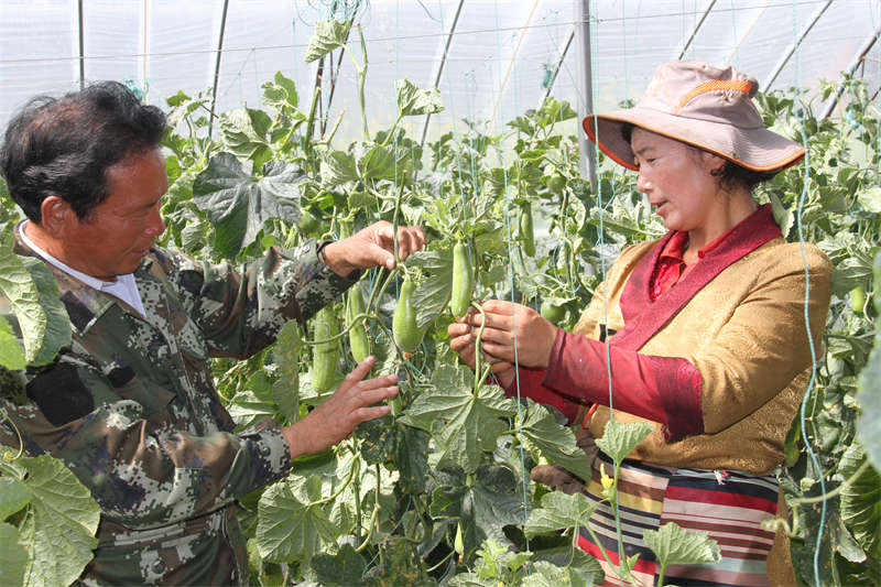 理塘县：“民族团结”之花处处开
