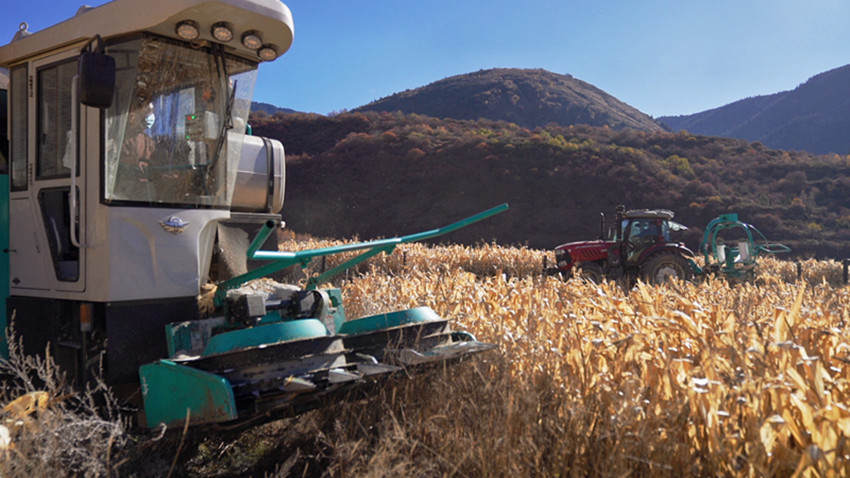 道孚县科技赋能好“丰”景