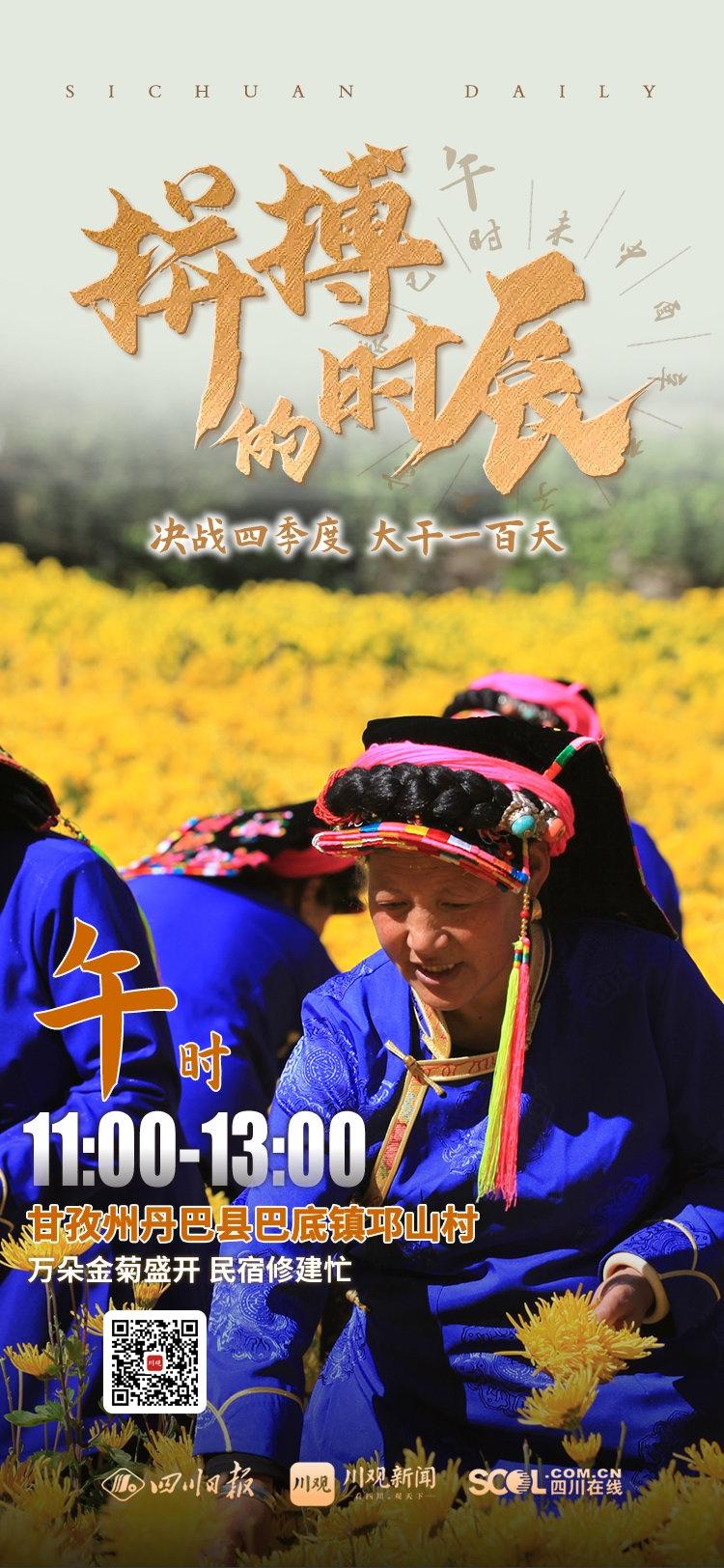 拼搏的时辰丨午时：万朵金丝皇菊边，这个高原藏寨的第一家标准民宿将建成