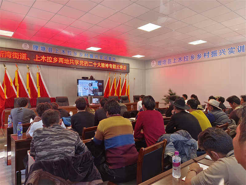 理塘县上木拉乡与钱塘区新湾街道云端共学二十大精神专题党课