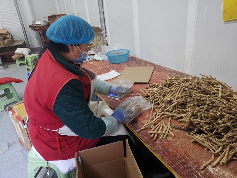 九寨沟县细念“农业经”，前三季度第一产业增加值增幅居阿坝州前列