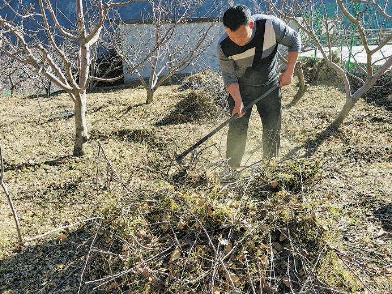 理县：立春时节农事忙