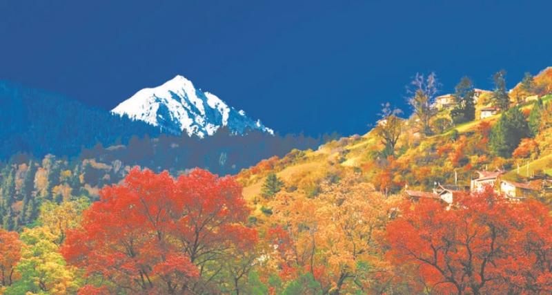 生态打底增福祉 绿色发展惠民生——黑水县加快推进生态文明建设