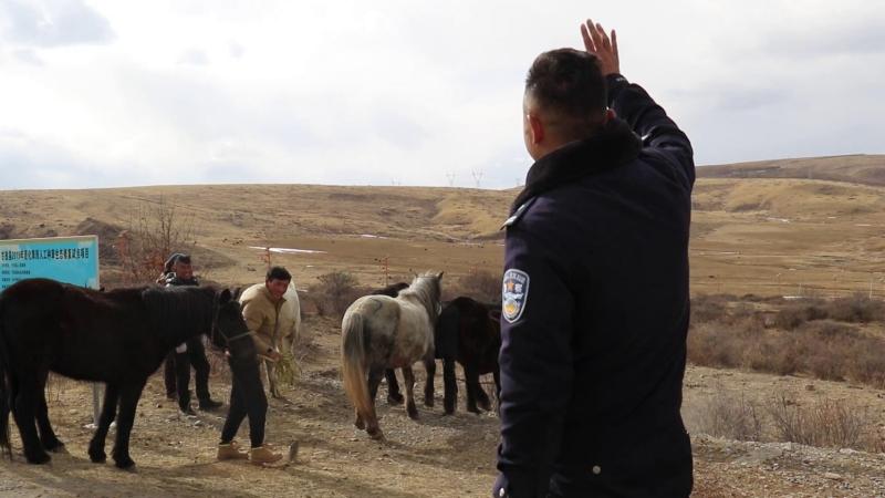 跨省追捕 骏马回家—— 甘孜县下雄乡派出所“狂飙”三千里擒获盗马贼