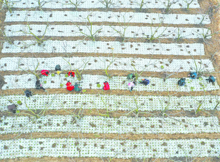 茂县：人勤春来早 春耕备耕忙