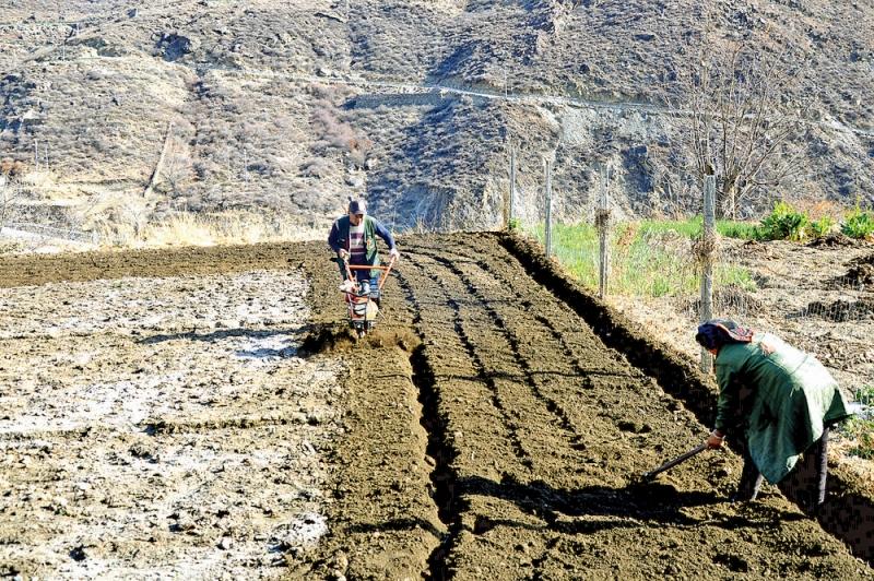 丹巴县：春耕生产正当时