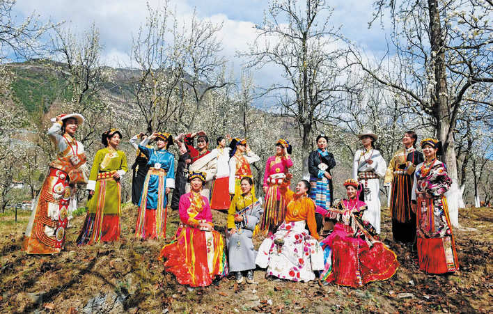 金川县：第七届古树梨花节开幕