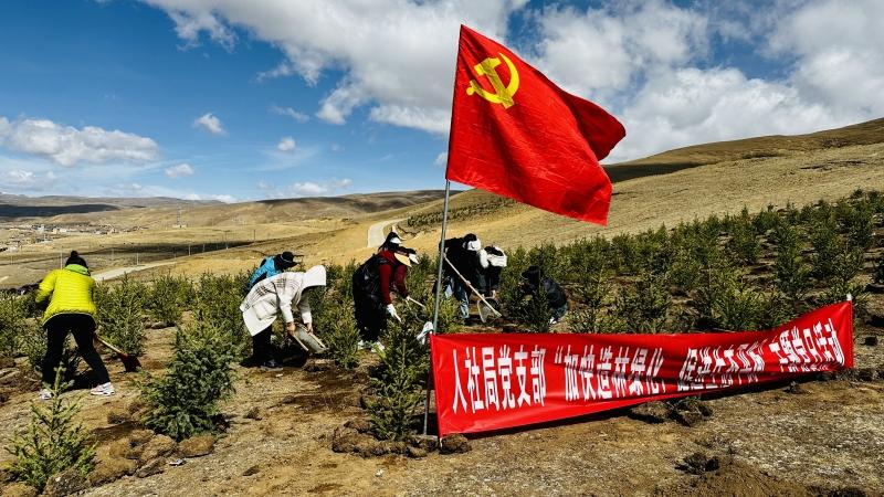 理塘县：义务植树3万余株