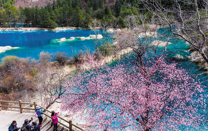 全国各地游客沓往九寨沟