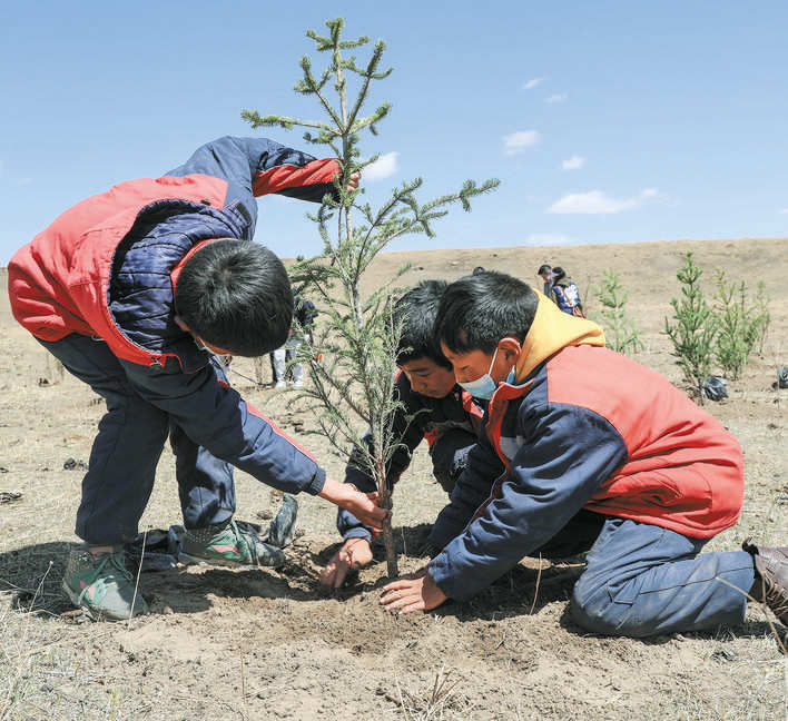 若尔盖县：母亲河畔添新绿