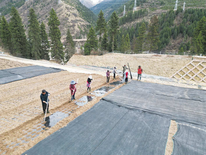 红原县刷经寺镇：春日劳作忙