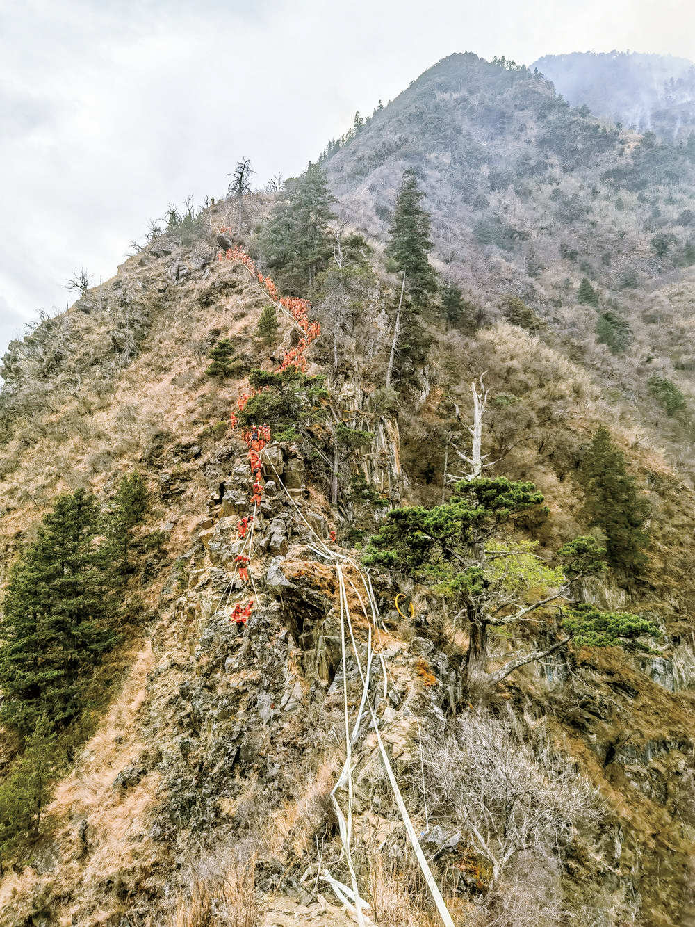 万众一心鏖战火魔——稻城县各卡乡百合村“4·18”雷击森林火灾扑救十日记