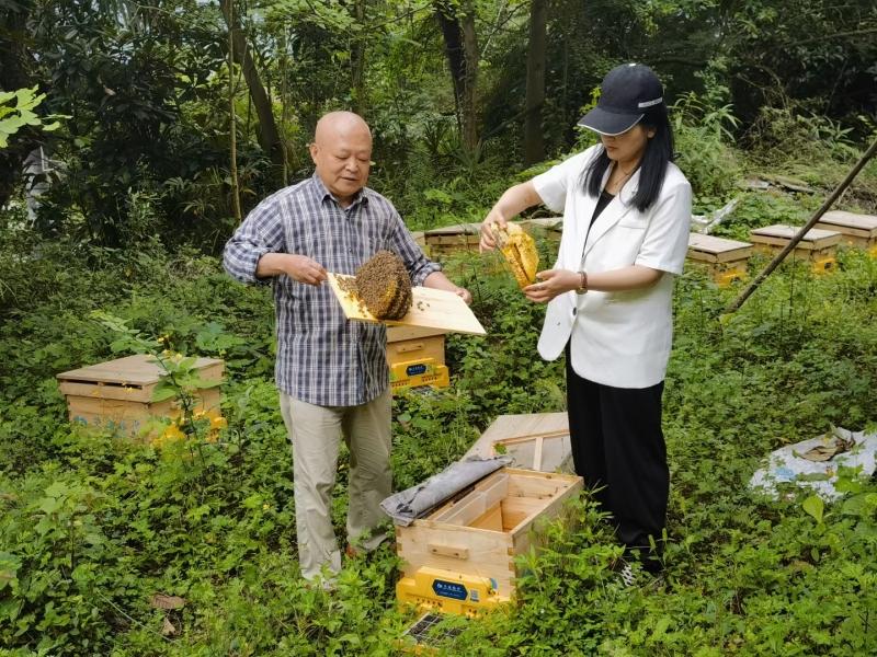 ​理塘县：智能蜂箱“甜”了乡村
