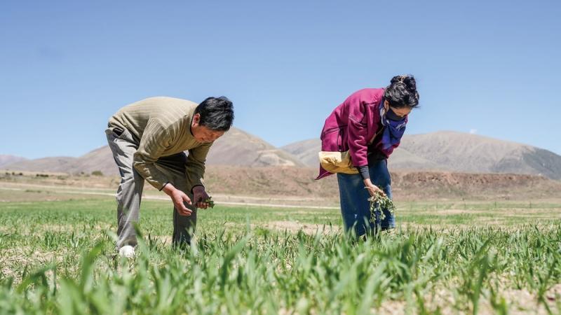 炉霍县充古乡：改革激活一池春水 三村合一让寸土生寸金
