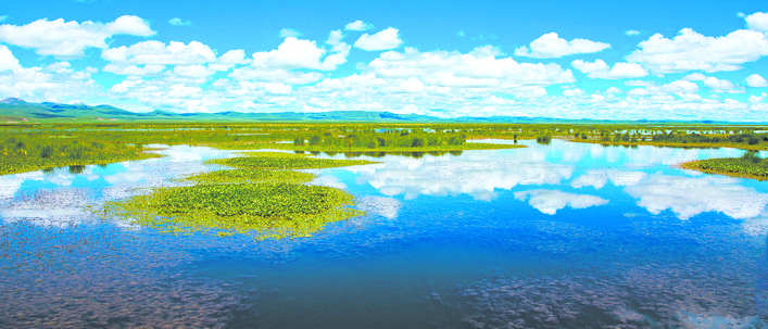筑牢生态安全屏障 守护黄河长久安澜——阿坝州奋力推动黄河流域生态保护治理和高质量发展