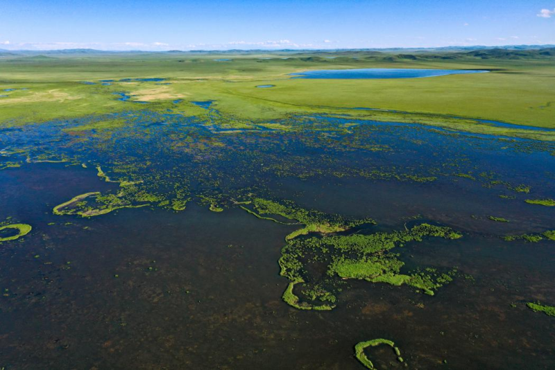 2023年若尔盖湿地草原保护暨生物多样性研讨会将于6月28日举办