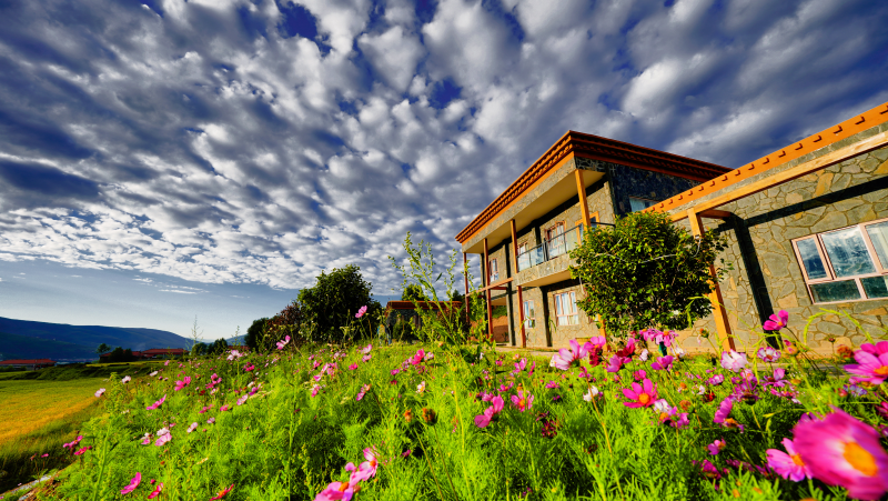 成都市锦江区：三个坚持推动帮扶产业提质增效