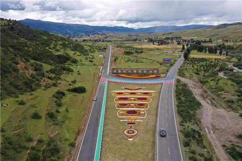 理塘县：力抓好产业可持续发展，不断夯实乡村振兴基础