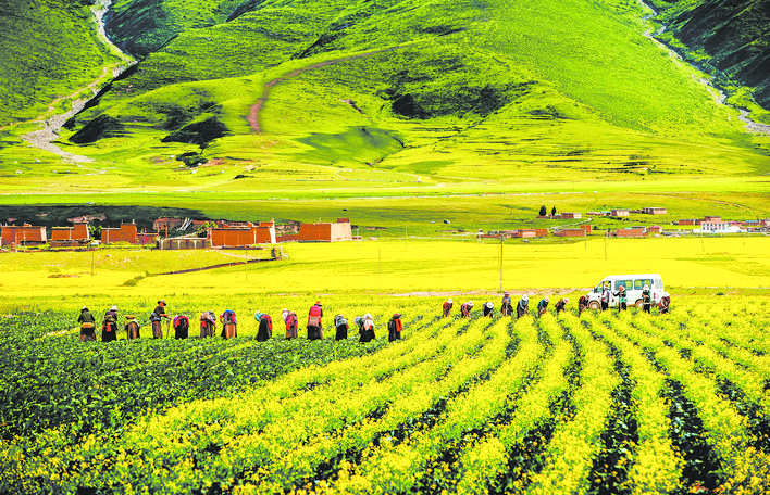 法治保障 促进乡村全面振兴——阿坝州乡村振兴促进条例解读