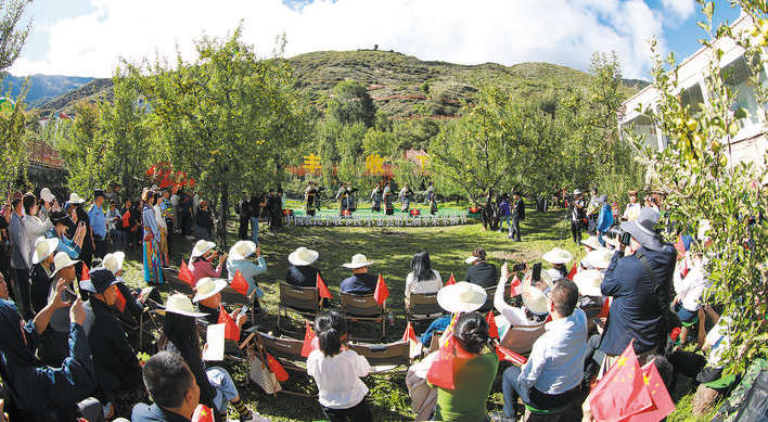 镜头里的阿坝丰收图景