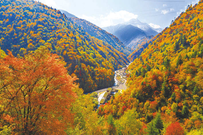 探冰川 赏红叶——黑水县举行第十一届冰川彩林生态文化旅游季推介会