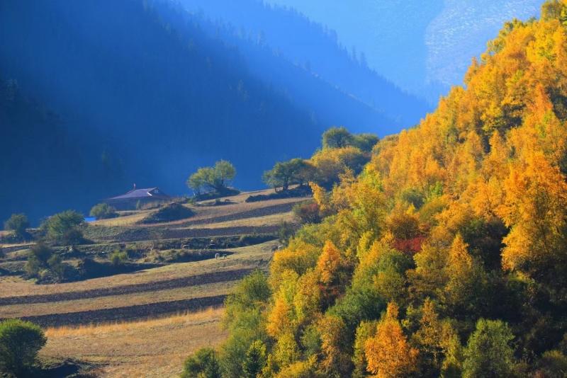 秋天的新龙“瑶池”——五彩皮擦