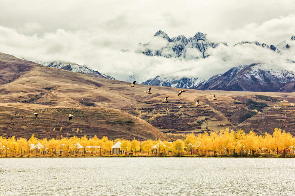 雪山+彩林+候鸟同框 高原湿地“谱写”秋季“情书”