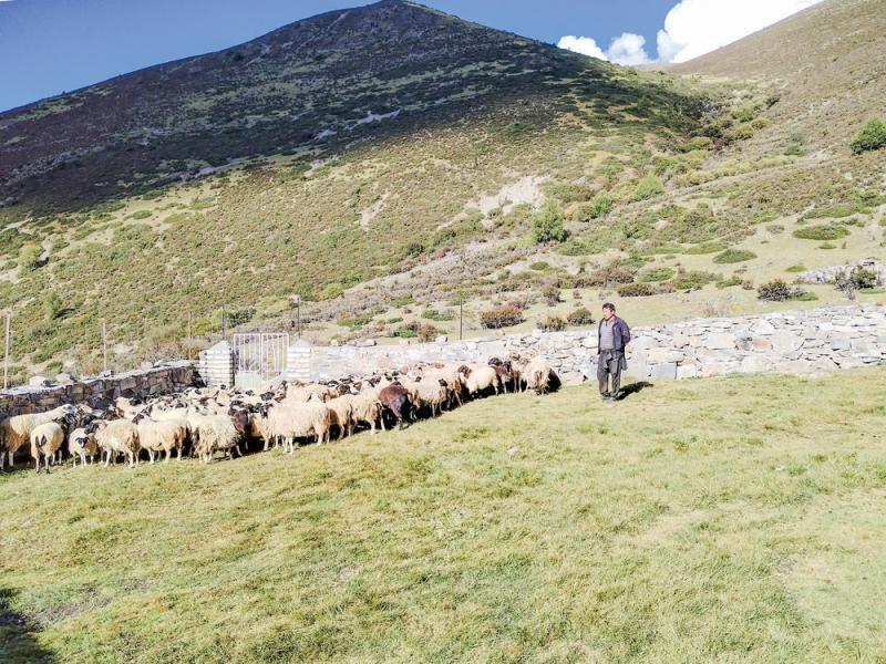 乡城县沙贡乡：干群齐奏乡村振兴“奋进曲”