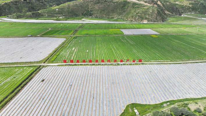 特色产业“多点开花” 乡村振兴“硕果累累”——壤塘县加快培育壮大特色产业