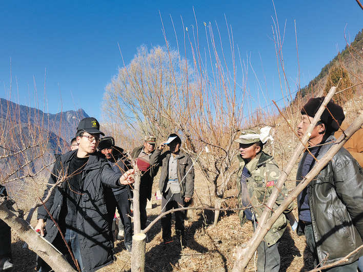 理县：抢抓农时 冬剪忙