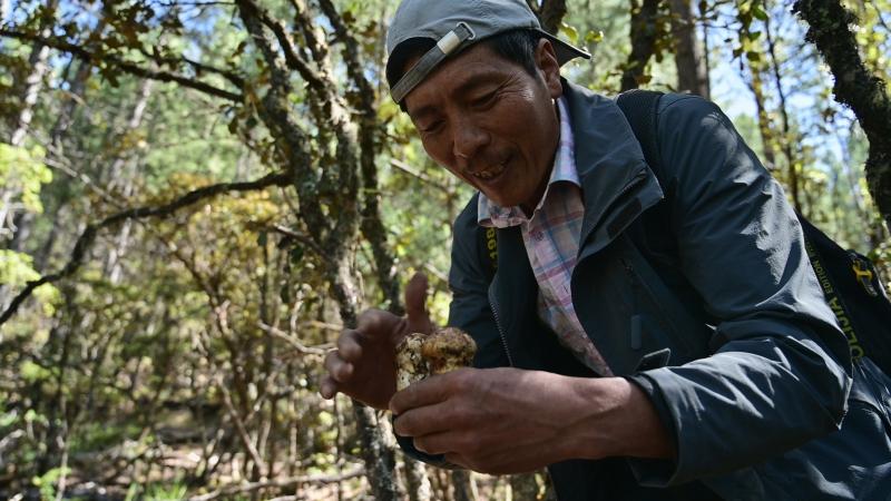 “数字+”跑出产业融合发展“加速度” ——雅江县数字经济产业发展侧记