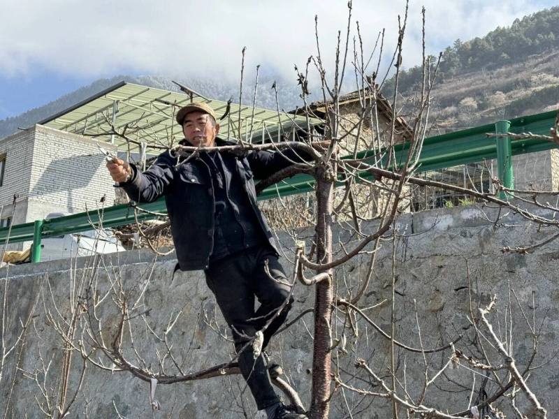 康定折东片区春耕图次第展开