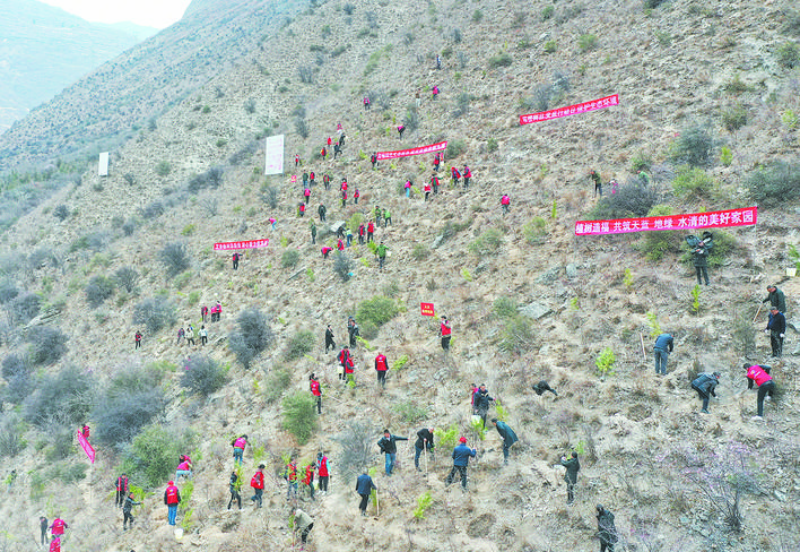 阿坝州：春来植树添绿忙