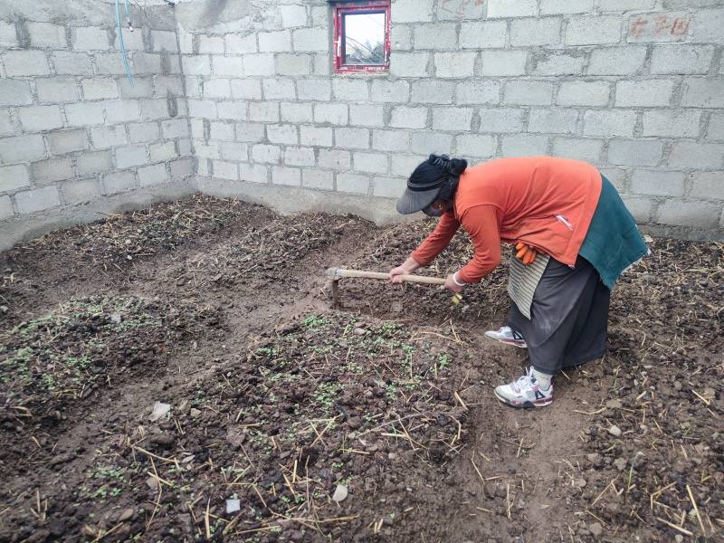 理塘县奔戈村备足农资保春耕