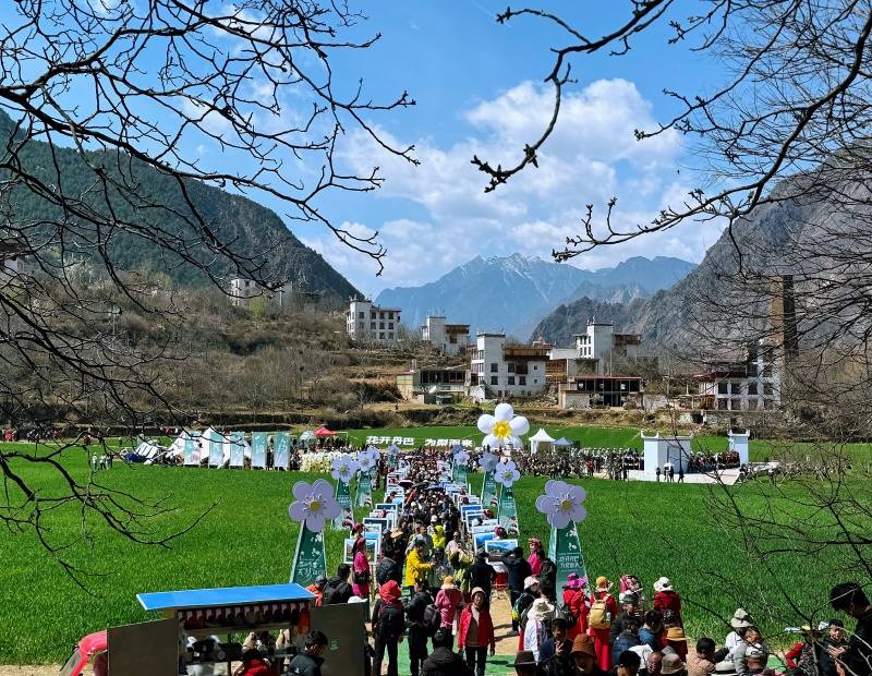 春山有喜，花下有礼！丹巴县2024“花开丹巴·为梨而来”梨花春赏季活动精彩开启！
