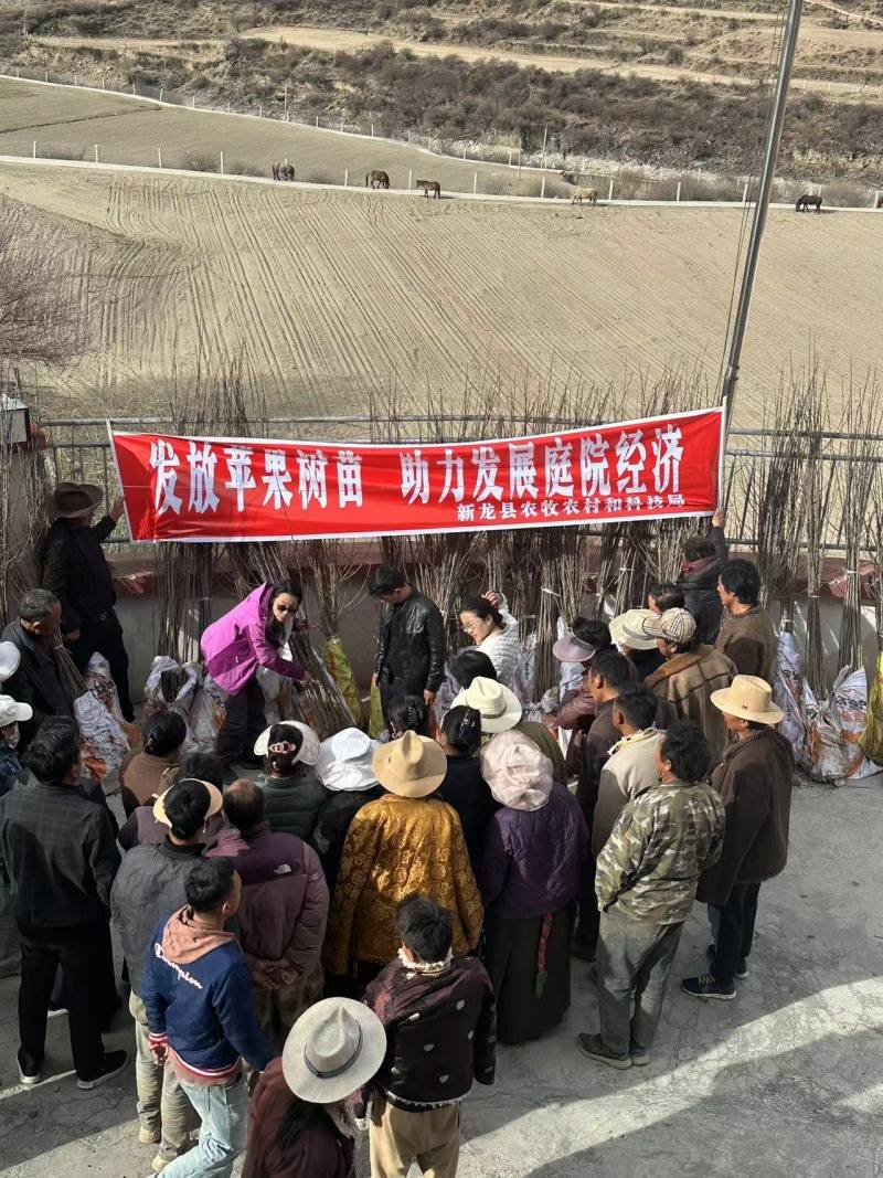 新龙县：庭院“小经济”助力乡村大振兴