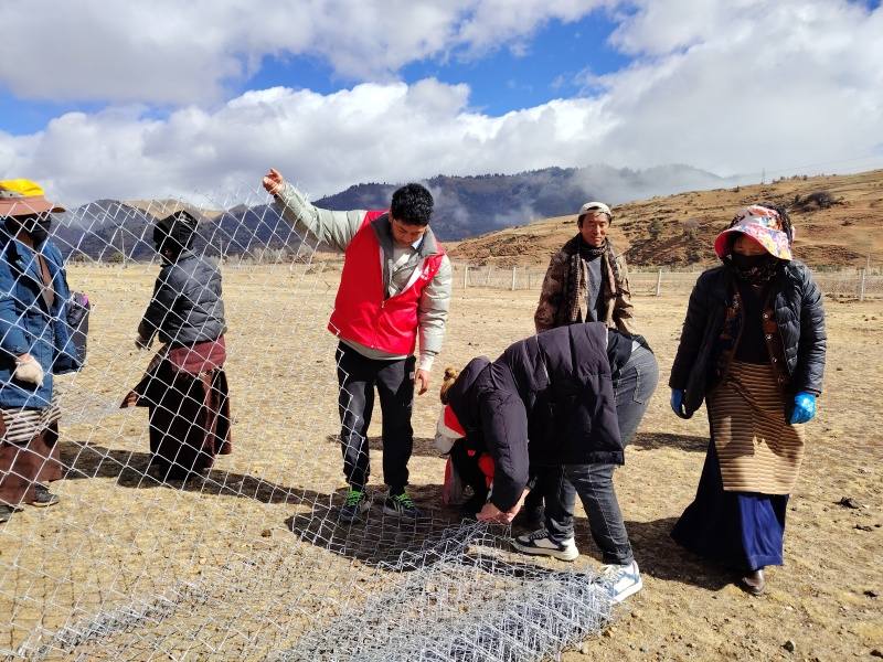 理塘县下甲洼村：重拾撂荒地 党员助备耕