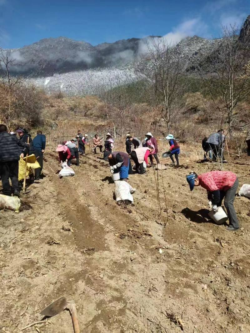 康定市：“三到位” 助农保春耕